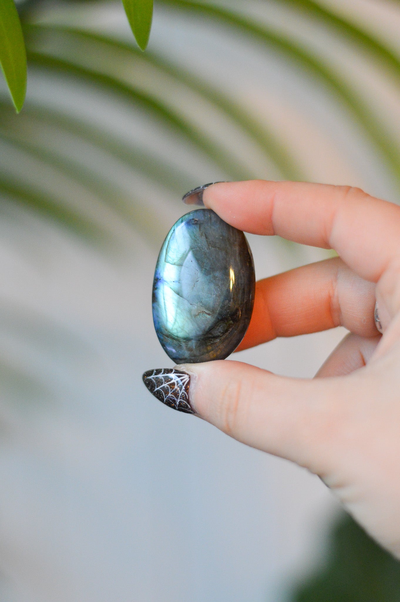 Labradorite Palm Stone #1