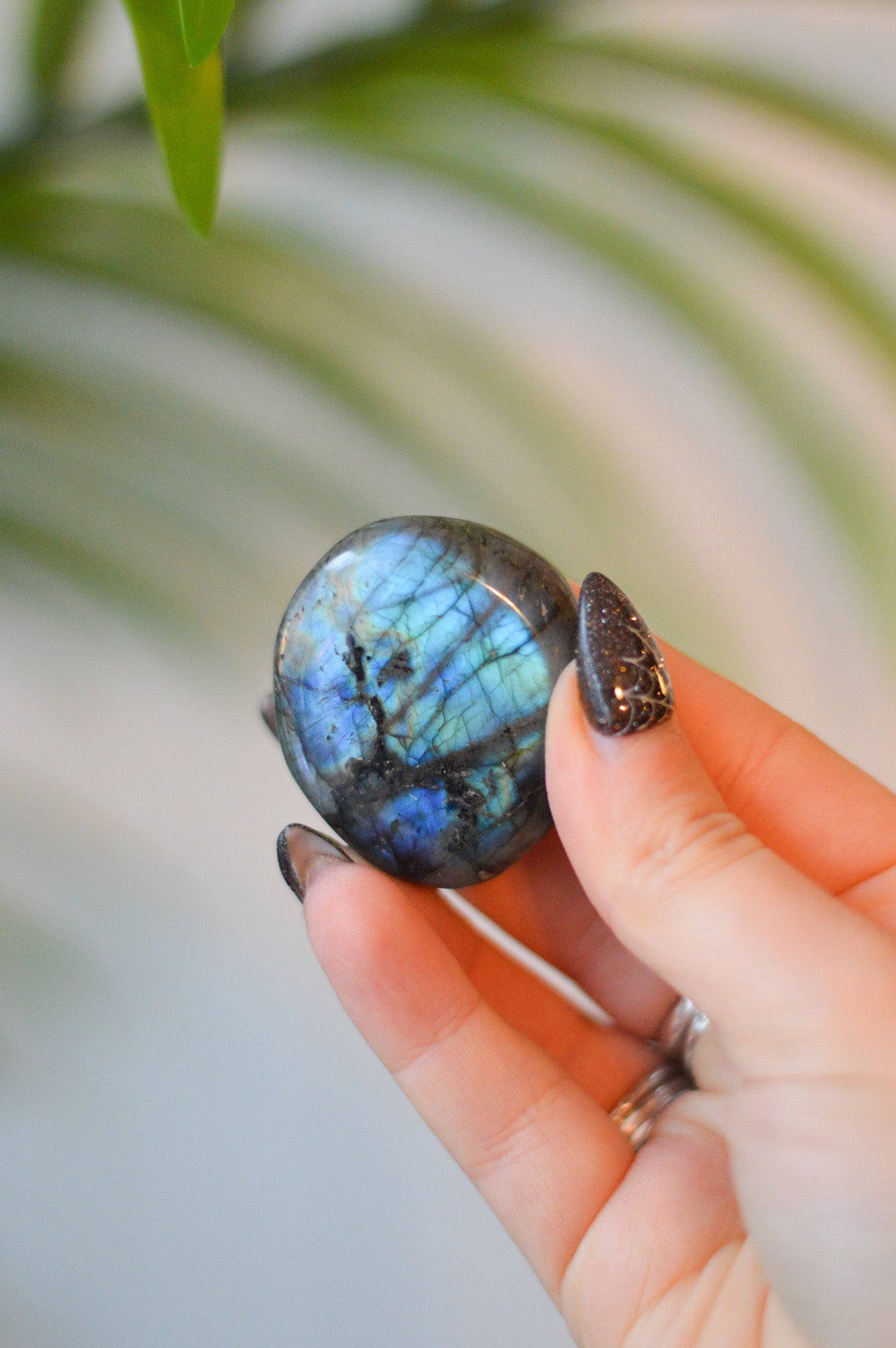 Labradorite Palm Stone #3