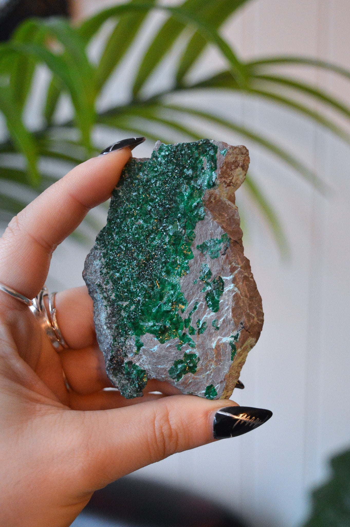 Malachite with Chrysocolla Specimen