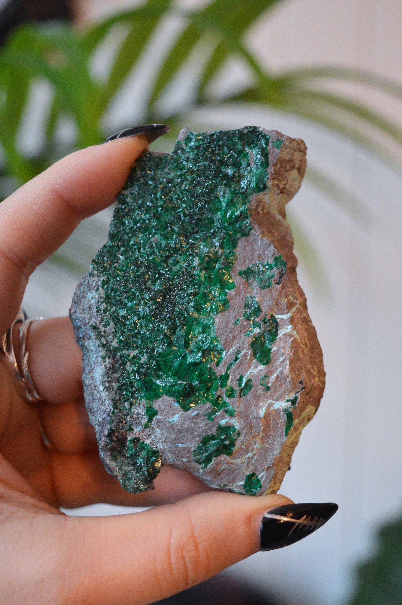 Malachite with Chrysocolla Specimen