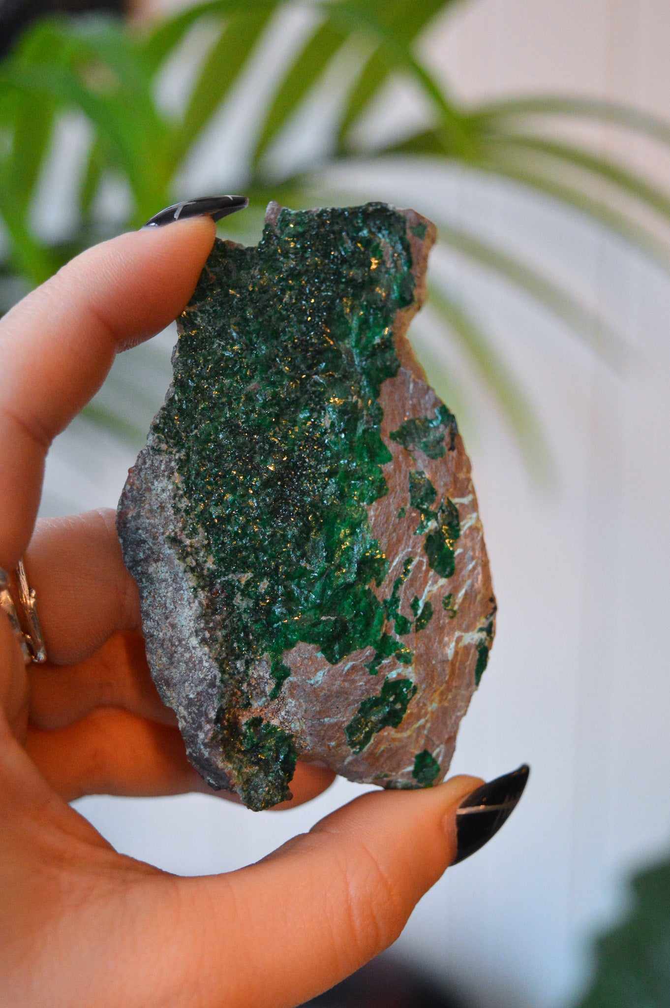 Malachite with Chrysocolla Specimen
