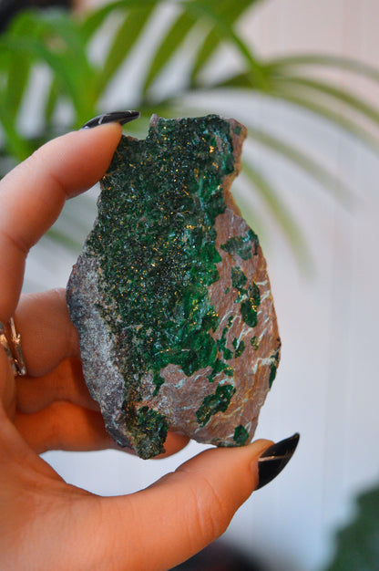 Malachite with Chrysocolla Specimen