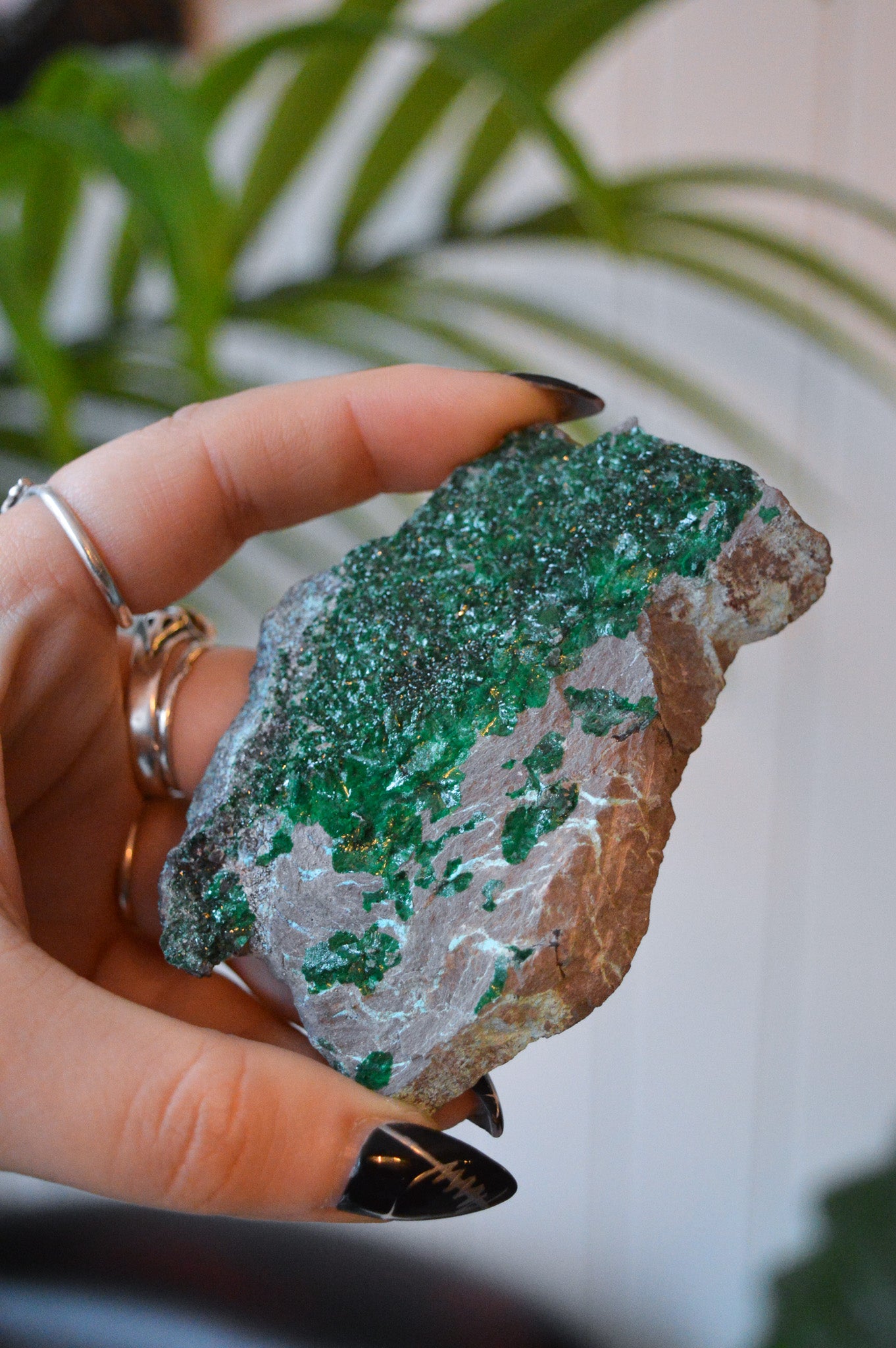 Malachite with Chrysocolla Specimen