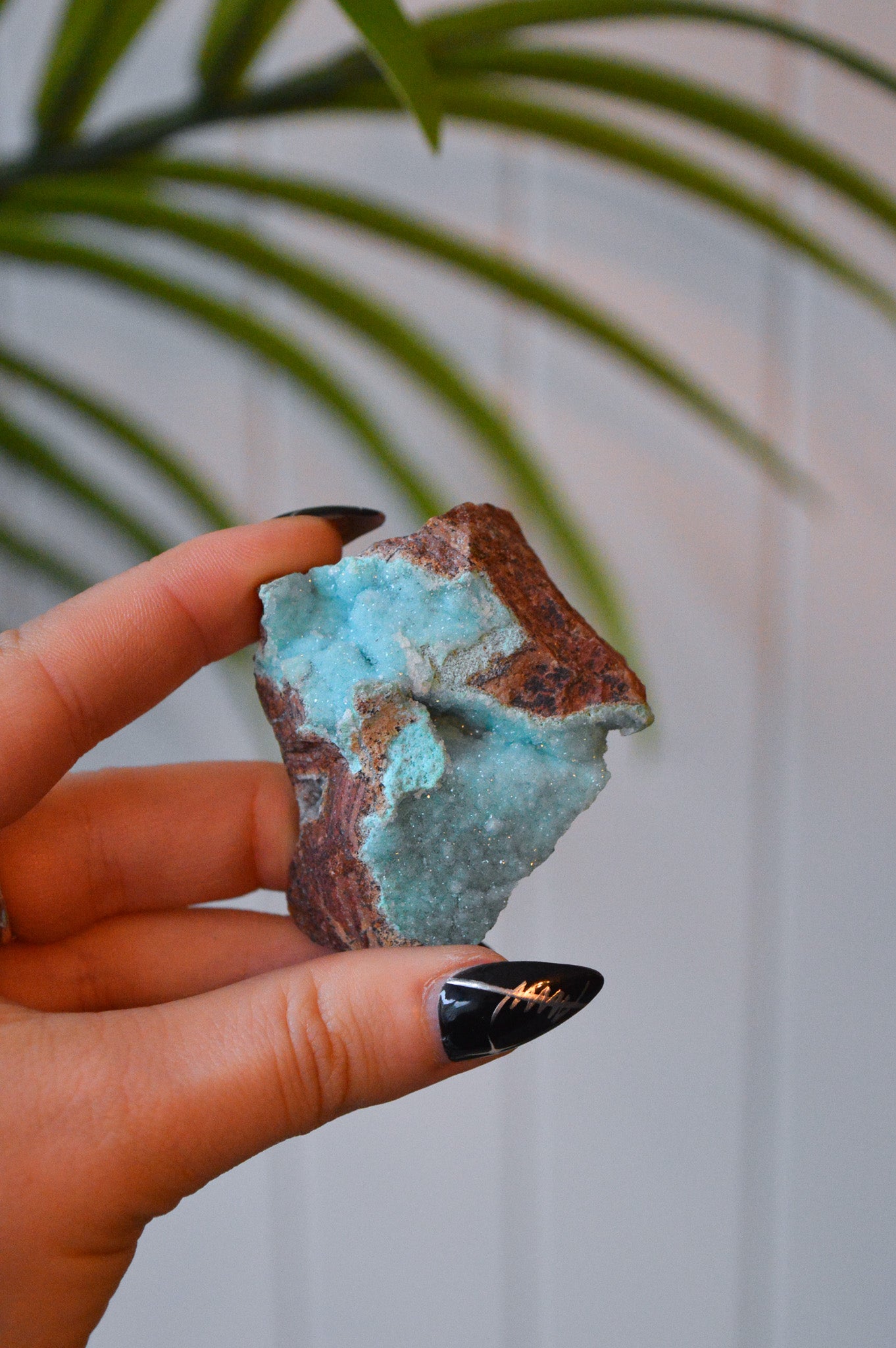Druzy Chrysocolla Specimen