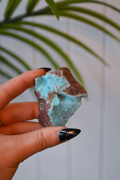 Druzy Chrysocolla Specimen