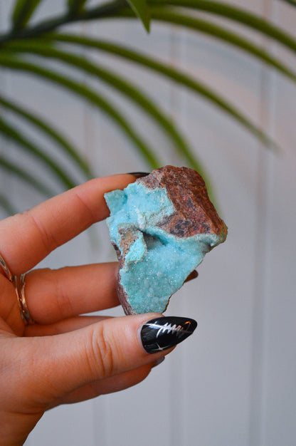 Druzy Chrysocolla Specimen