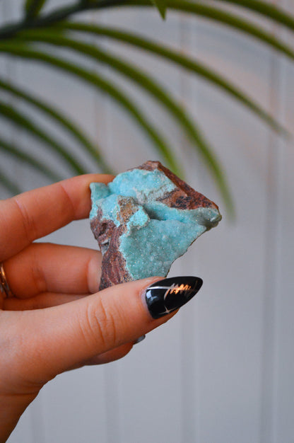 Druzy Chrysocolla Specimen
