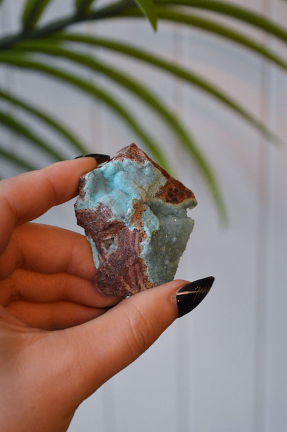 Druzy Chrysocolla Specimen