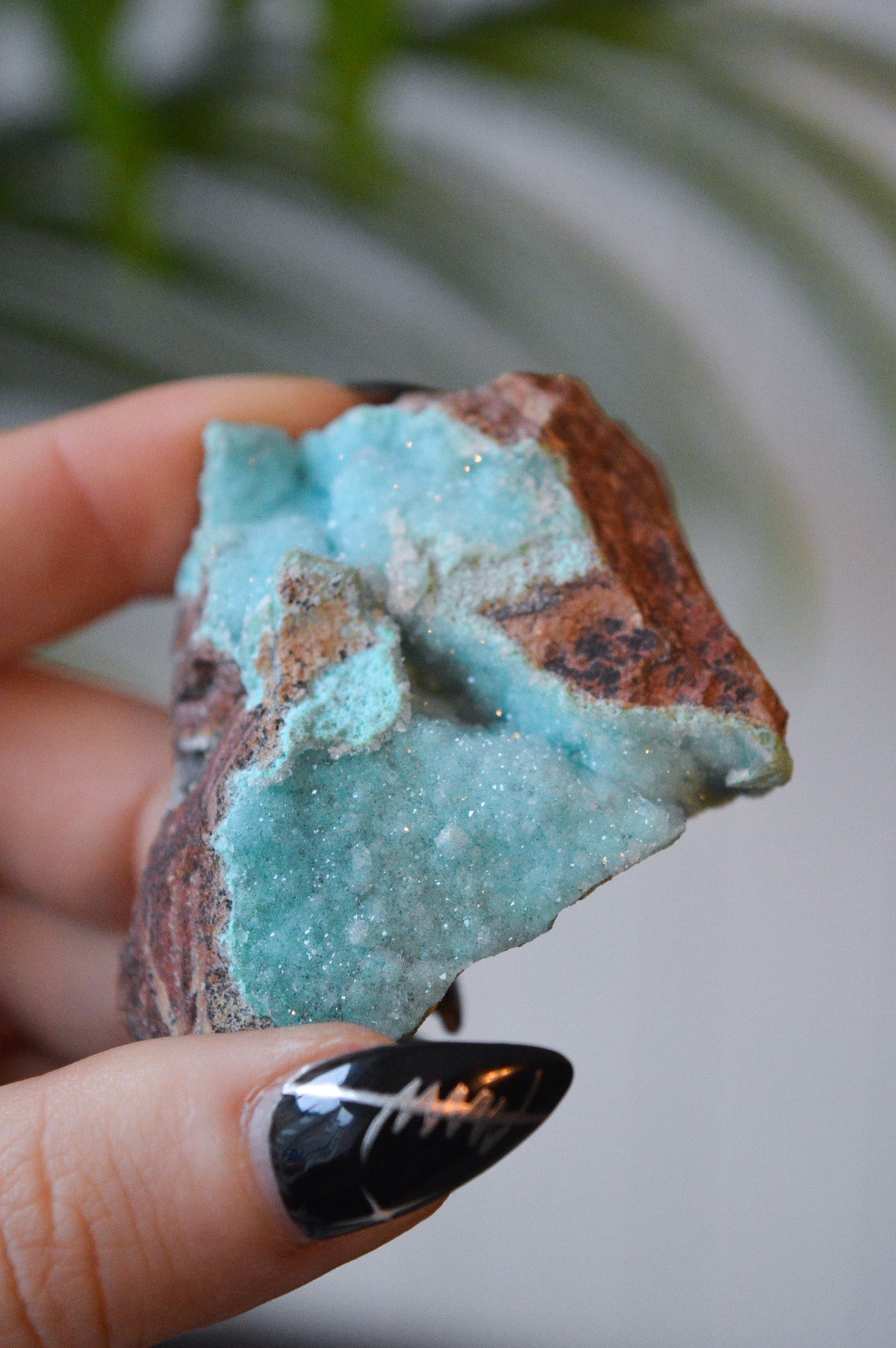 Druzy Chrysocolla Specimen