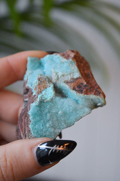 Druzy Chrysocolla Specimen