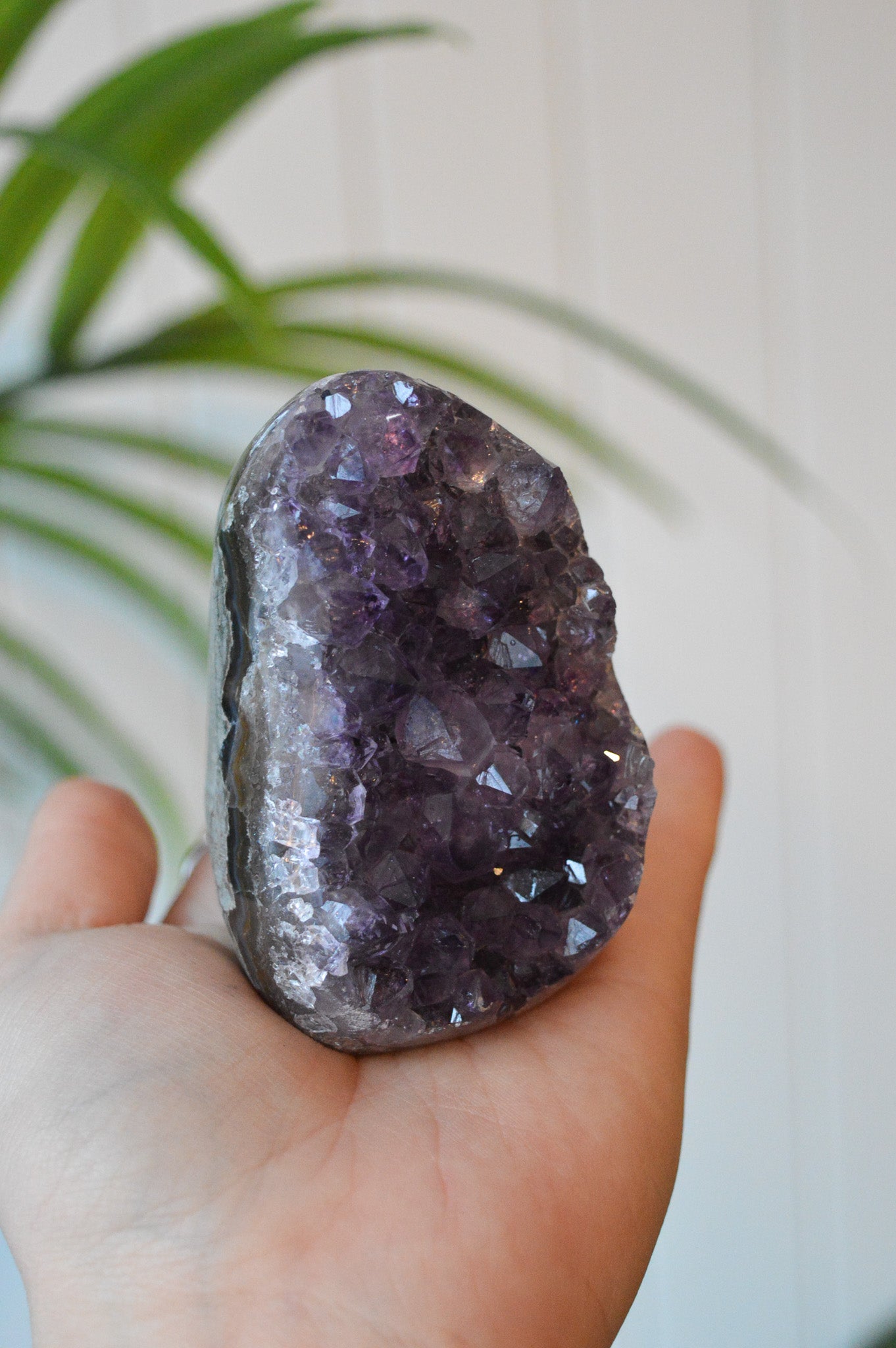 Amethyst Druzy Cut Base Freeform #2