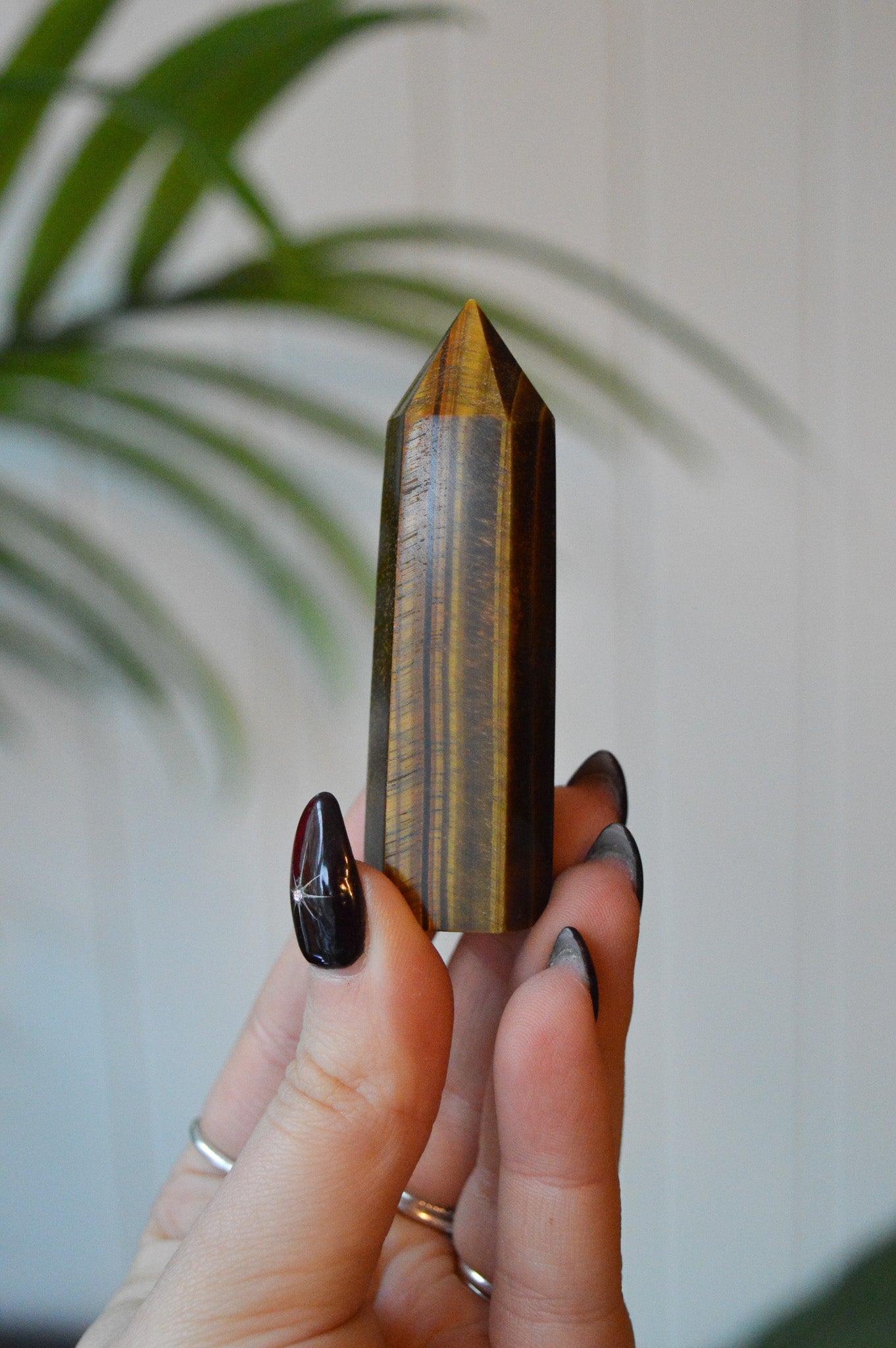Tigers Eye Point