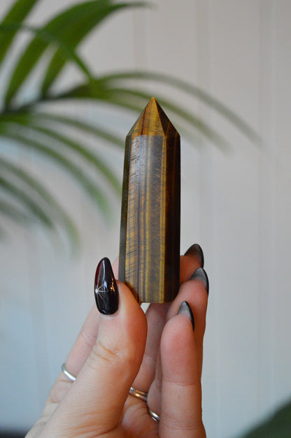 Tigers Eye Point