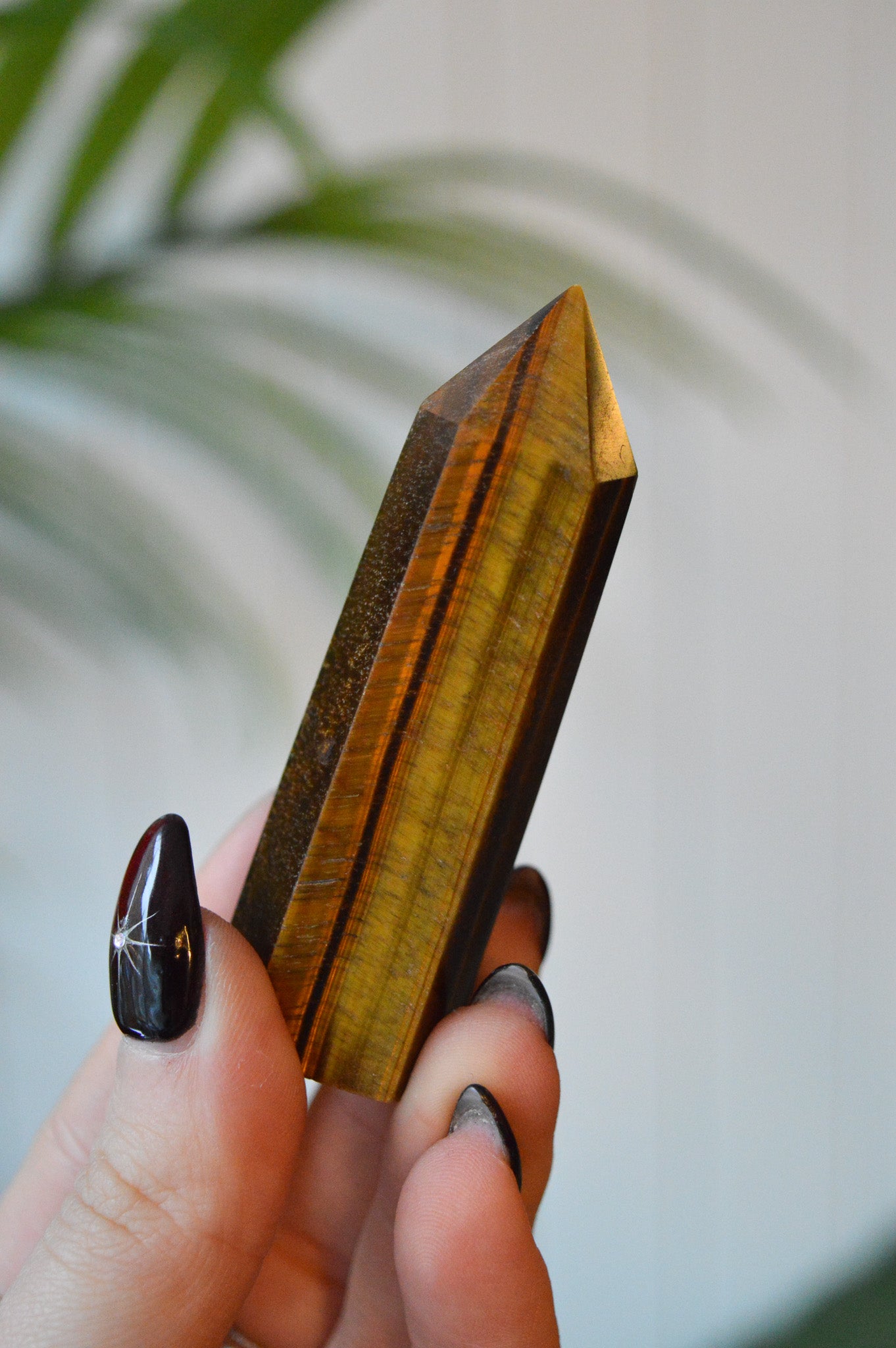 Tigers Eye Point