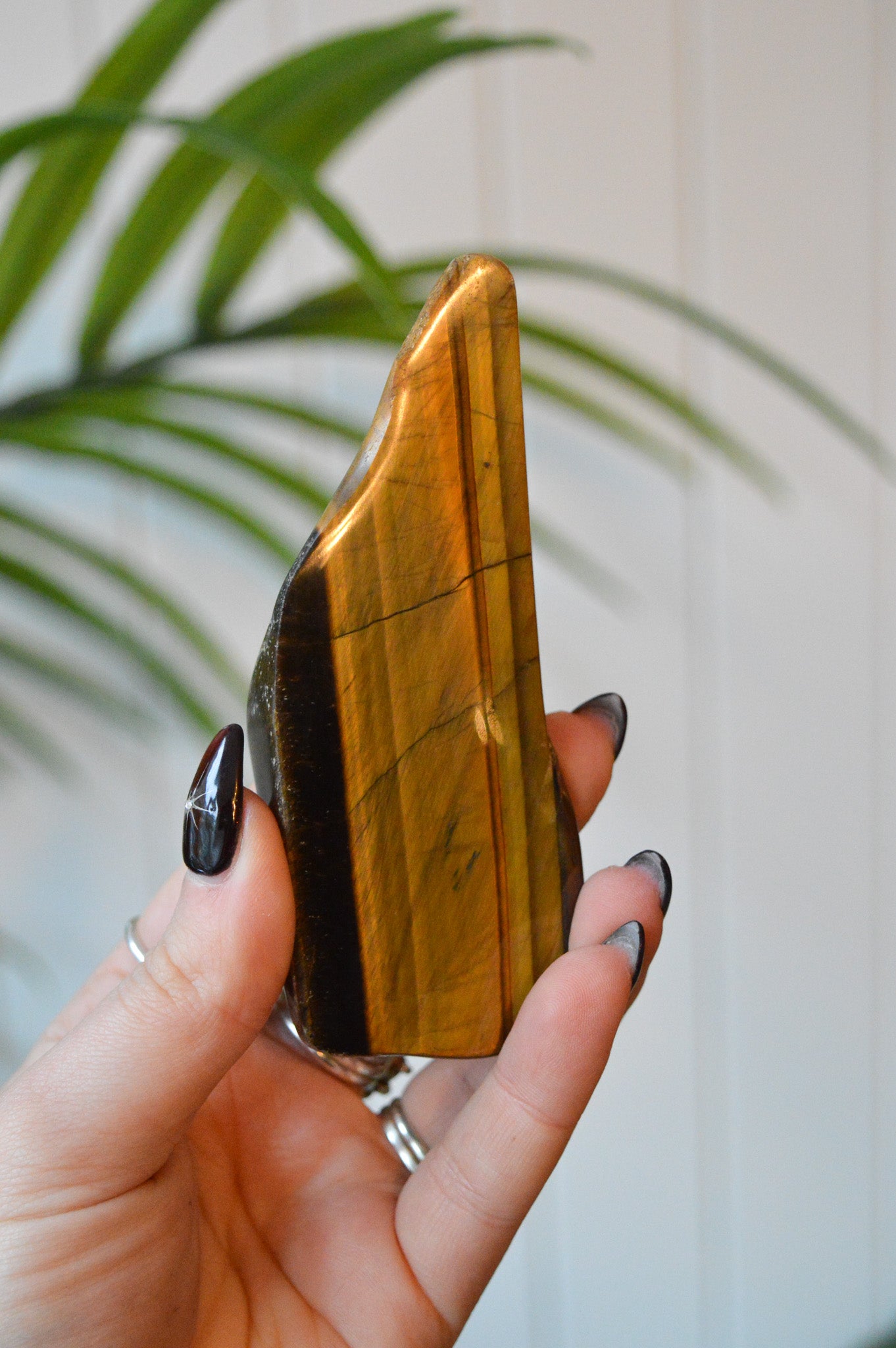 Tigers Eye Polished Freeform