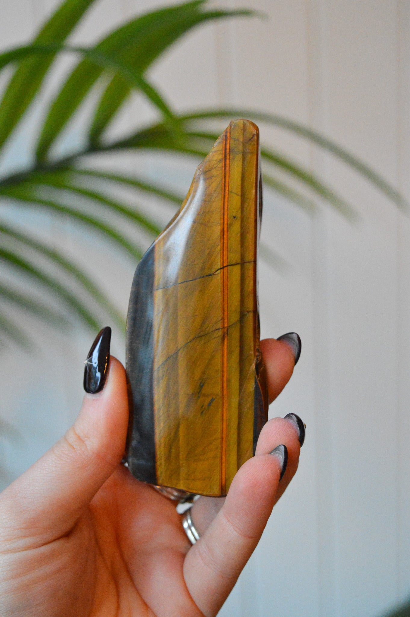 Tigers Eye Polished Freeform