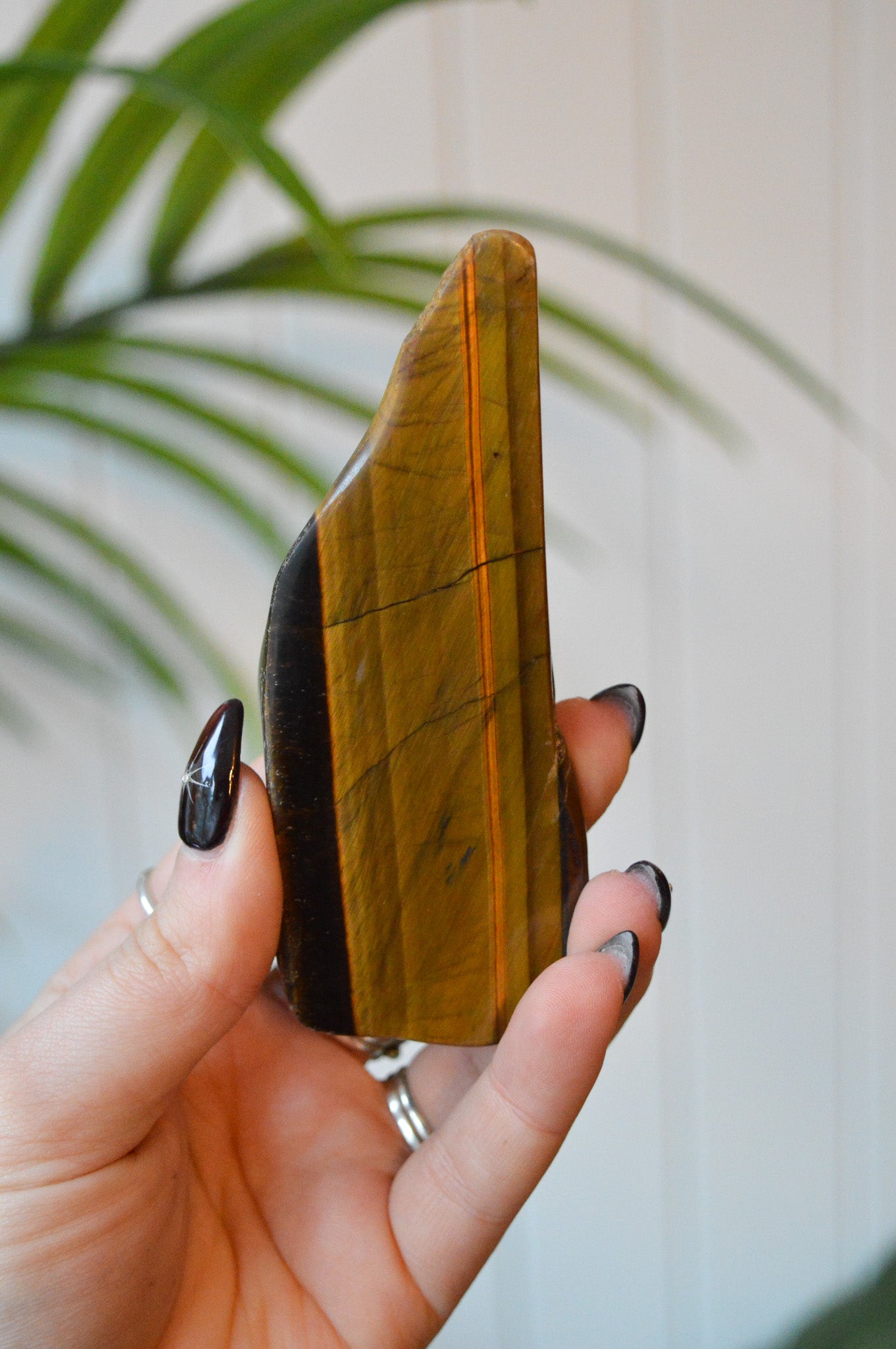 Tigers Eye Polished Freeform