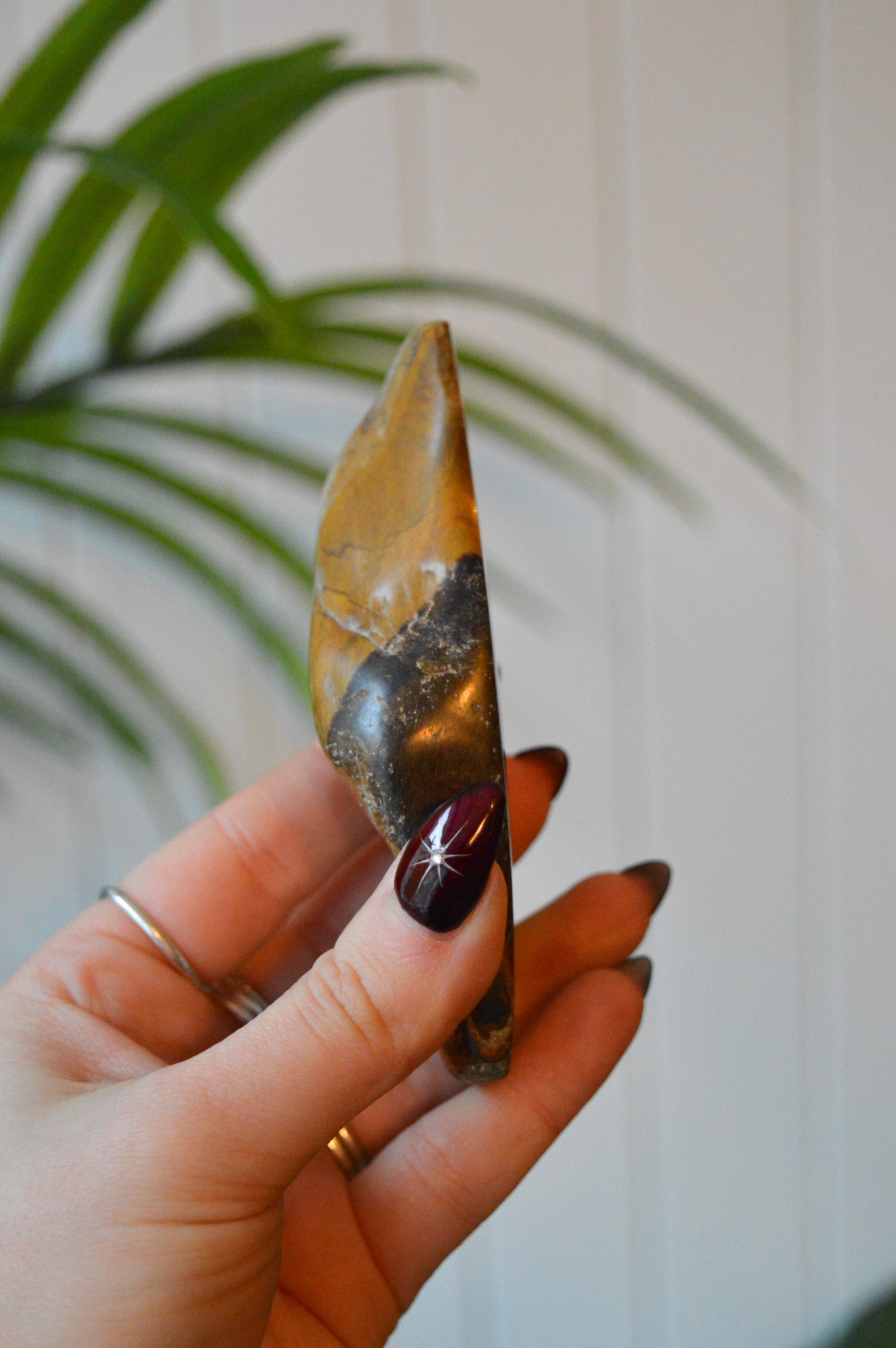 Tigers Eye Polished Freeform