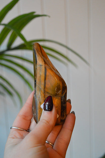 Tigers Eye Polished Freeform