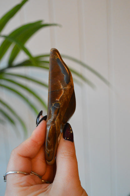 Tigers Eye Polished Freeform