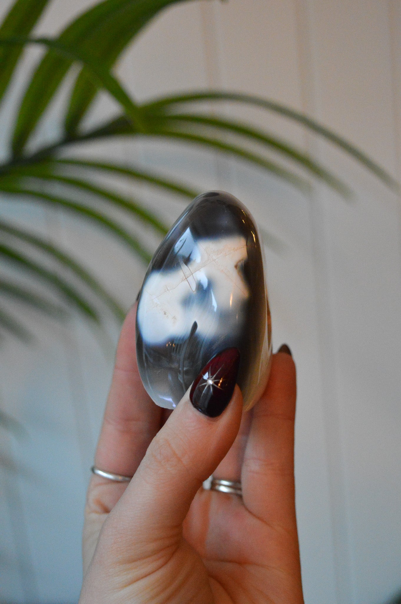 Orca Agate Cut Base Freeform