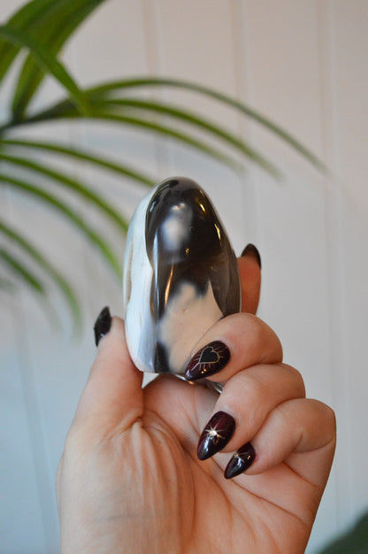 Orca Agate Cut Base Freeform