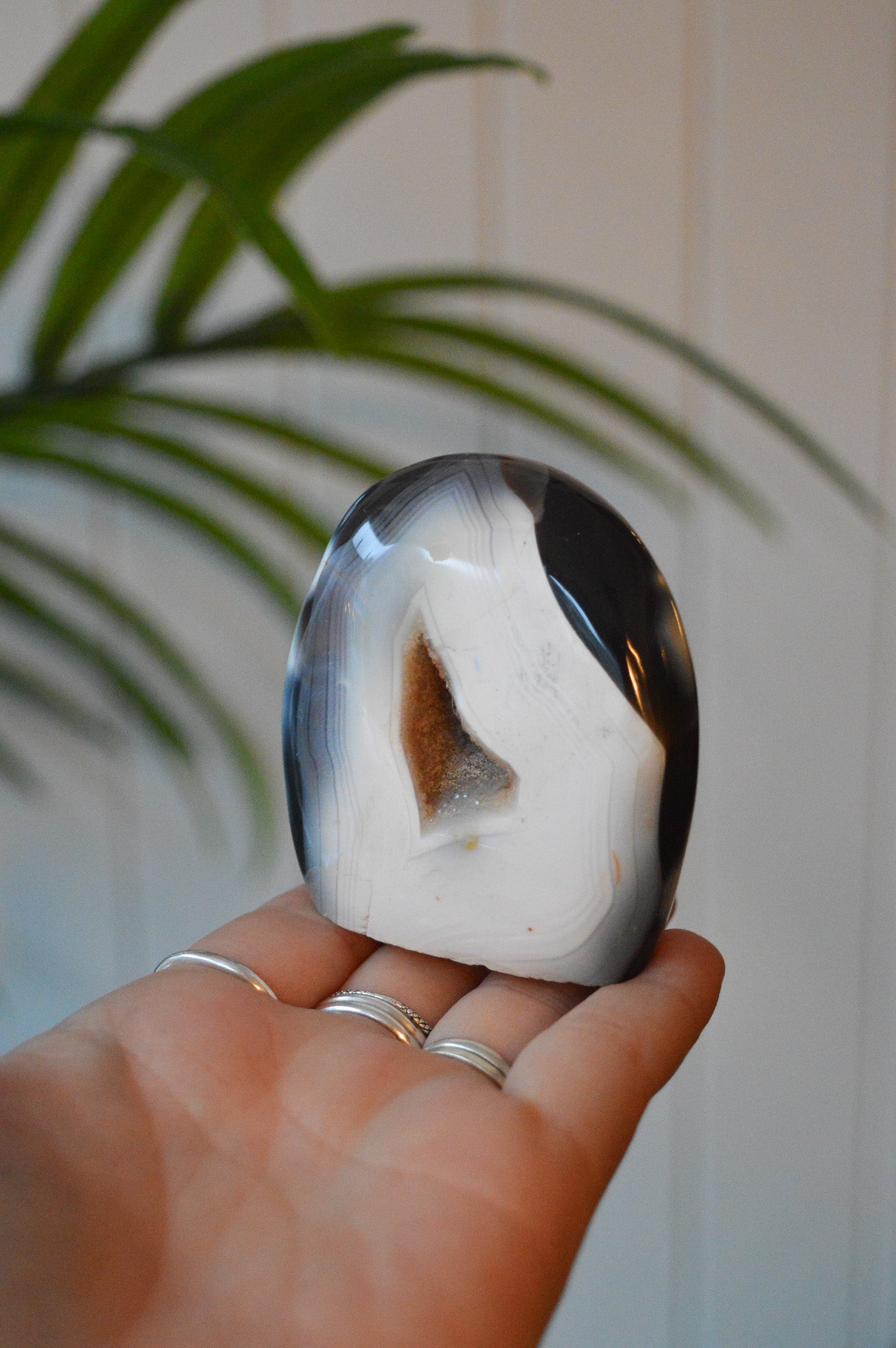 Orca Agate Cut Base Freeform
