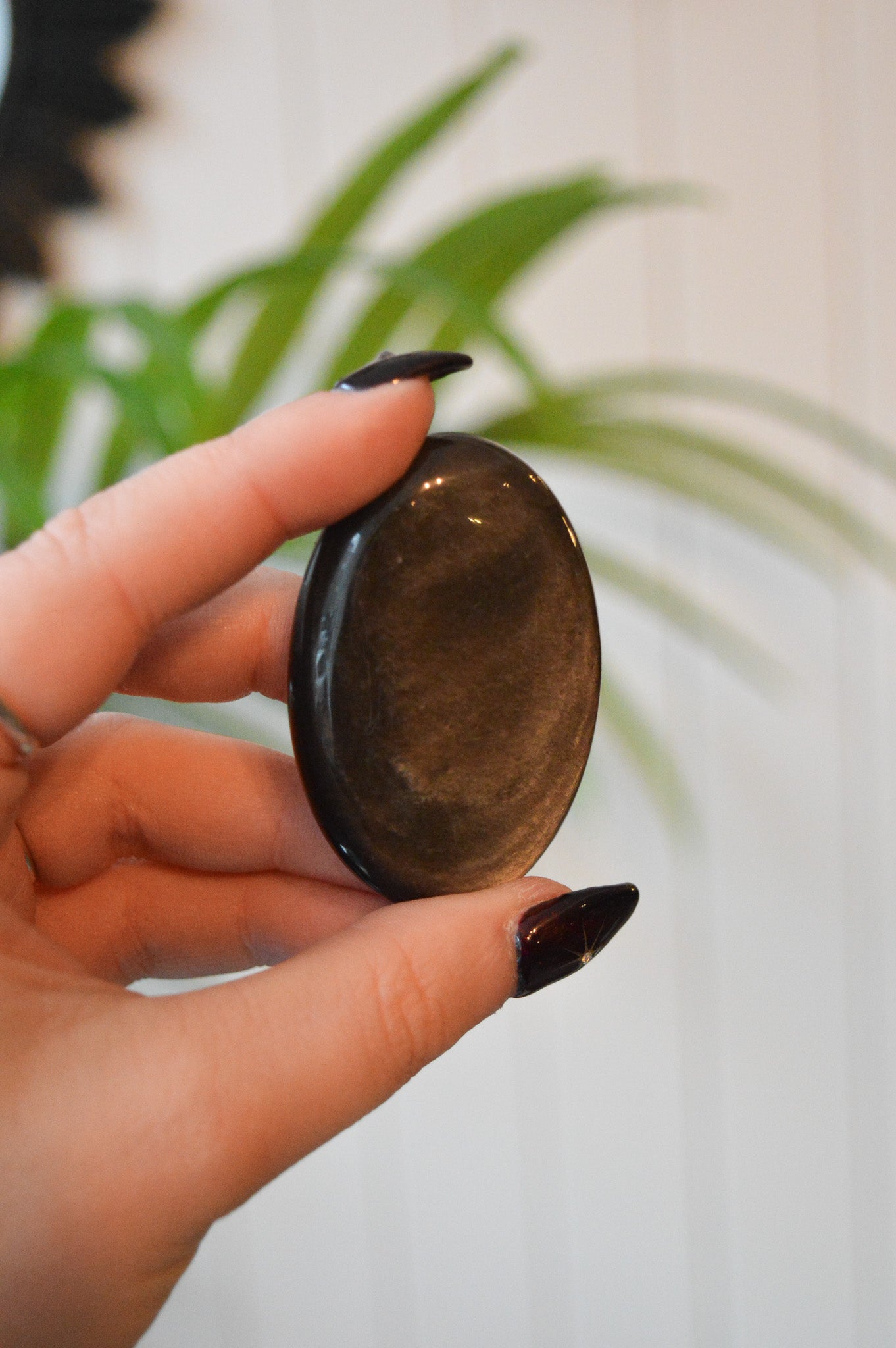 Silver Sheen Obsidian Palmstone