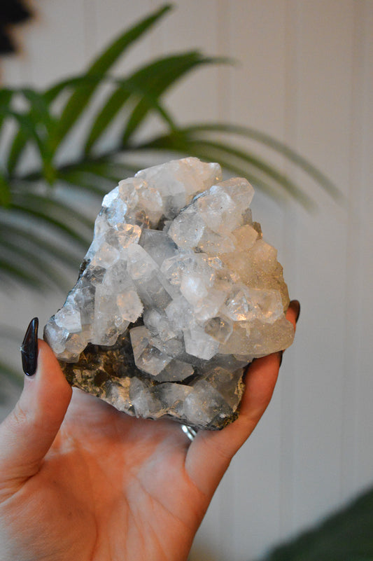 Apophyllite Specimen