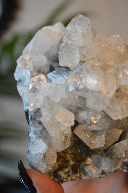 Apophyllite Specimen