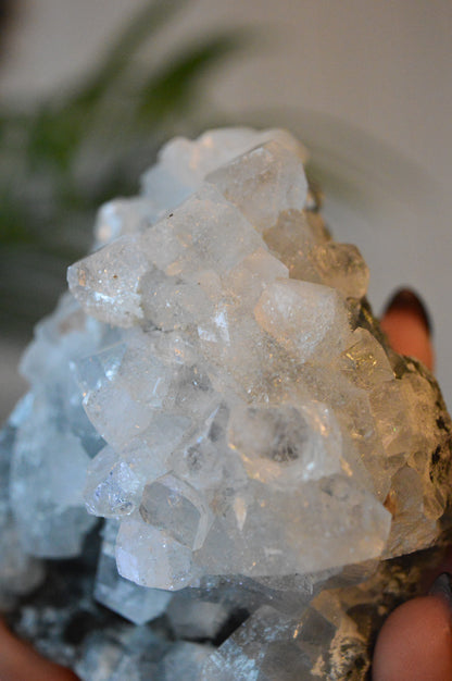 Apophyllite Specimen