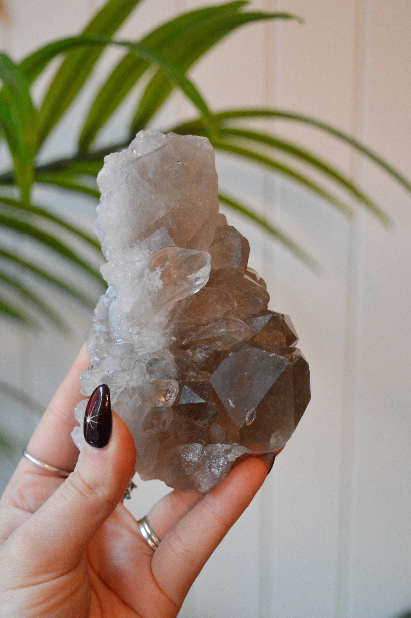 Smokey Quartz With Rutile Cluster