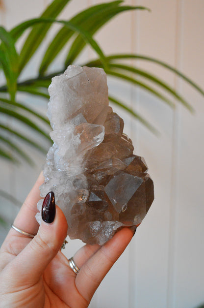 Smokey Quartz With Rutile Cluster