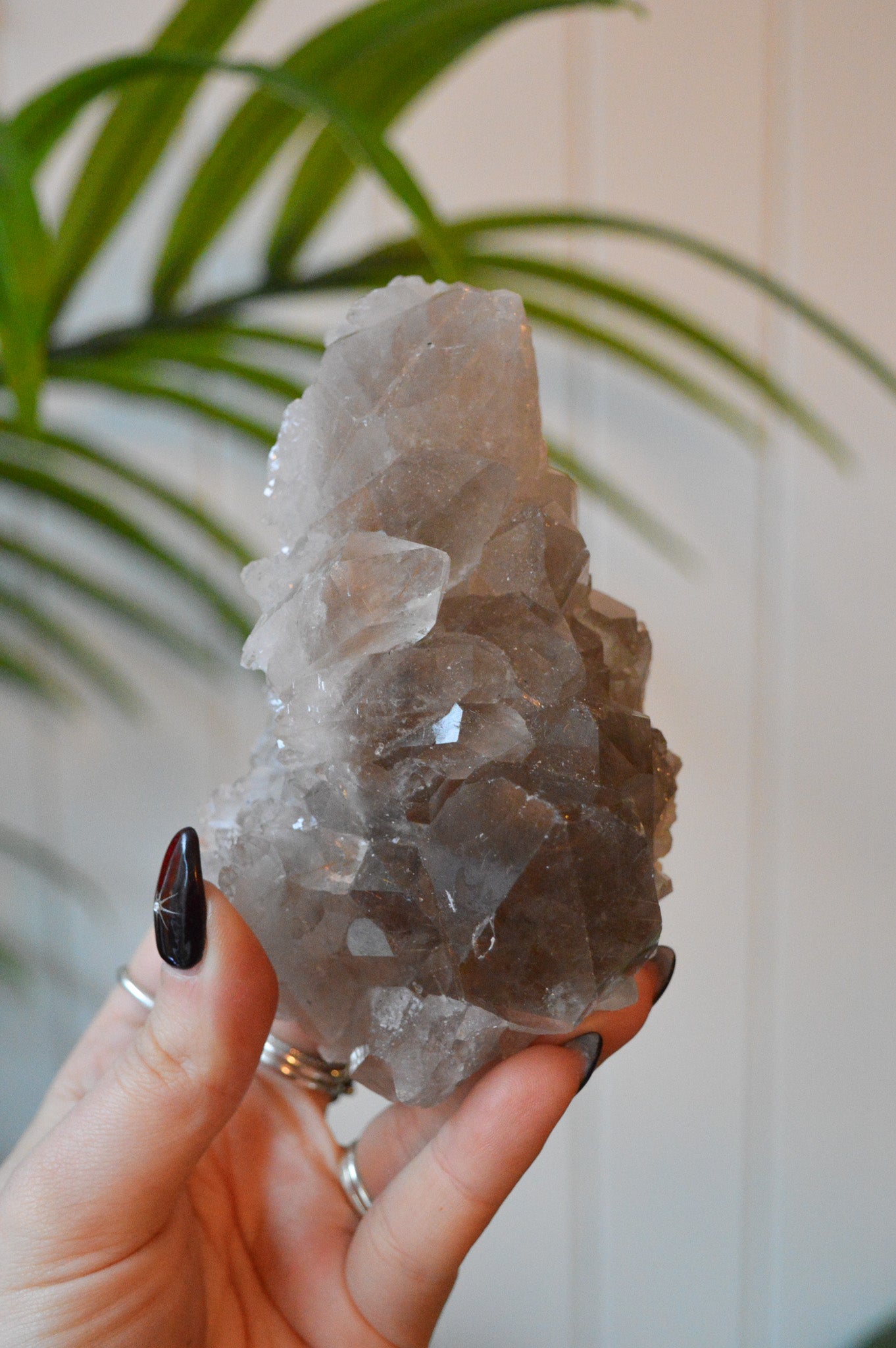 Smokey Quartz With Rutile Cluster