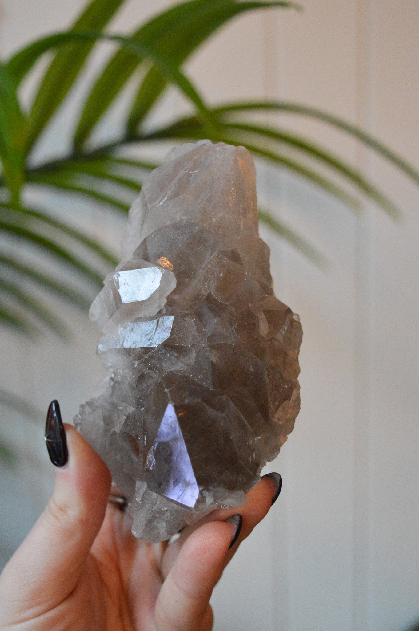 Smokey Quartz With Rutile Cluster