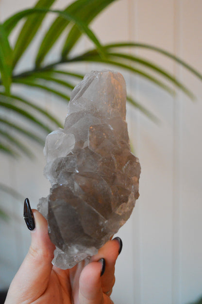 Smokey Quartz With Rutile Cluster