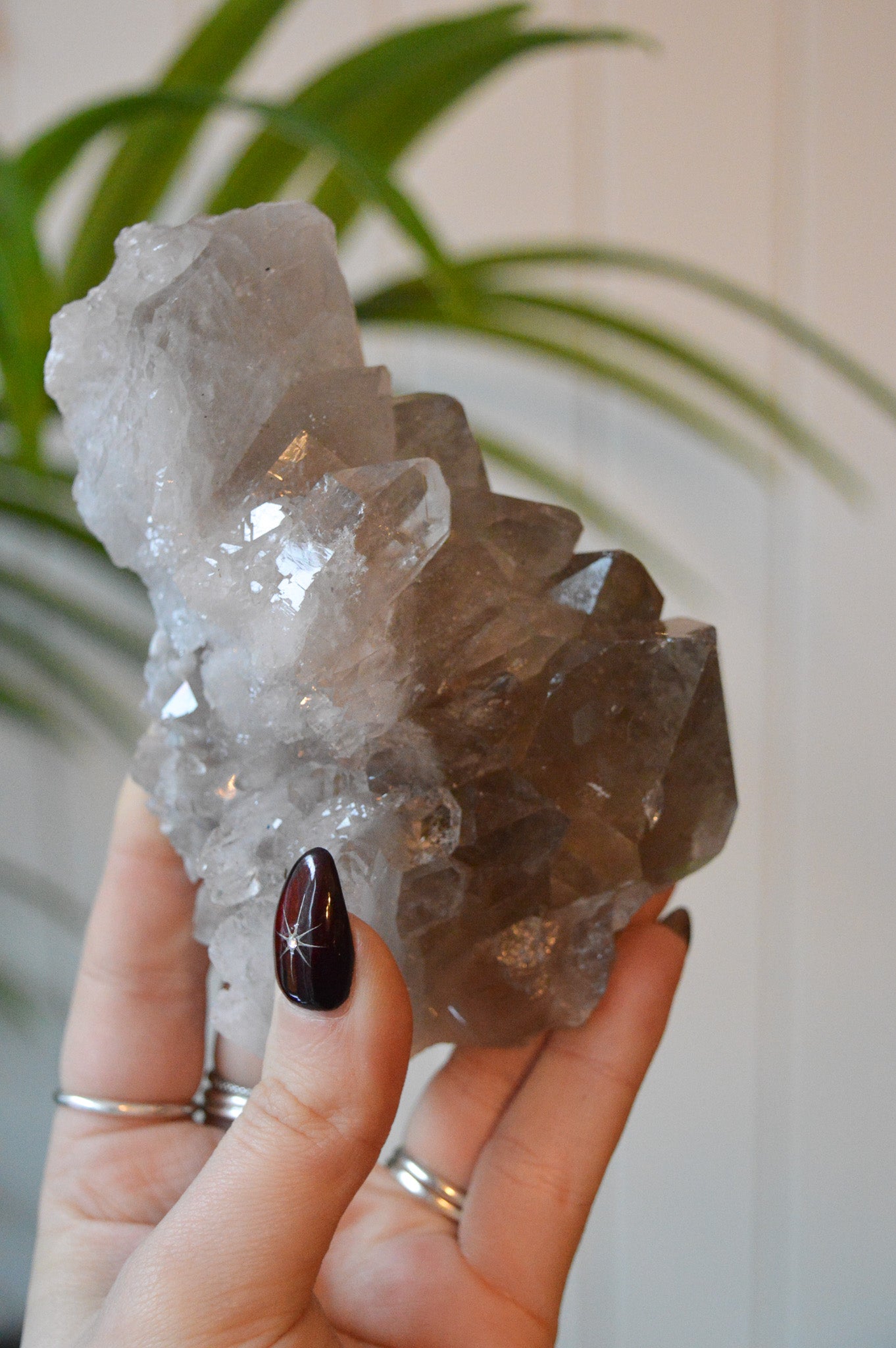 Smokey Quartz With Rutile Cluster