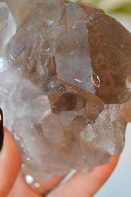 Smokey Quartz With Rutile Cluster