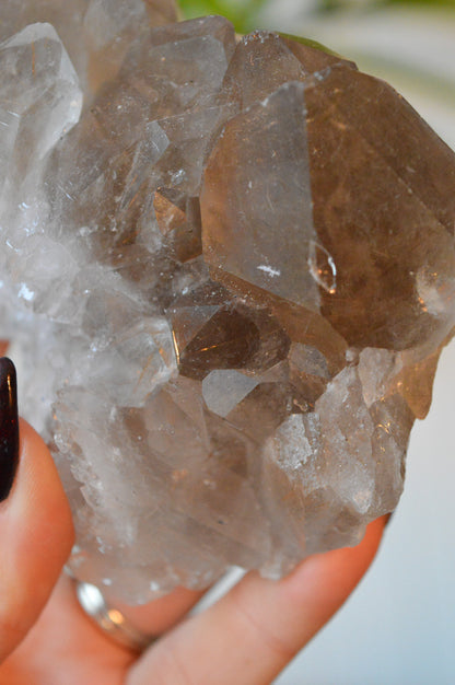 Smokey Quartz With Rutile Cluster