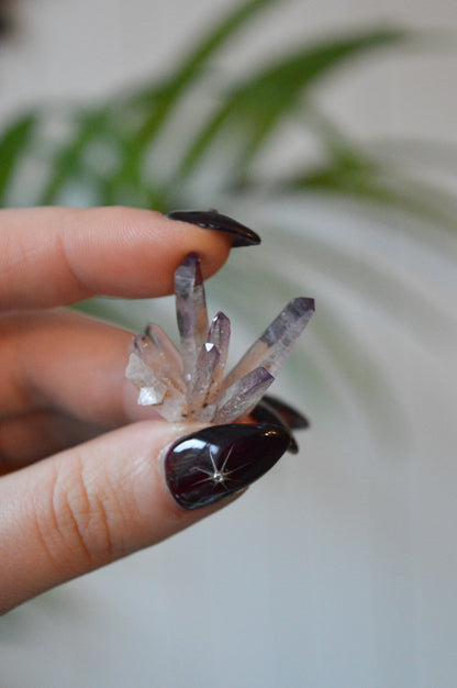 Veracruz Amethyst Starburst Cluster #1