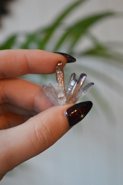 Veracruz Amethyst Starburst Cluster #1