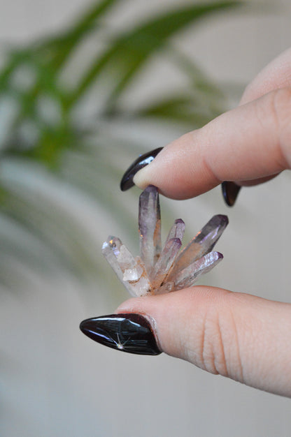 Veracruz Amethyst Starburst Cluster #1