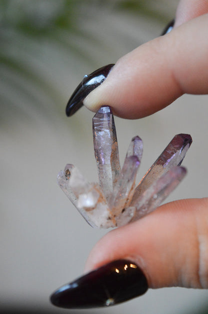 Veracruz Amethyst Starburst Cluster #1