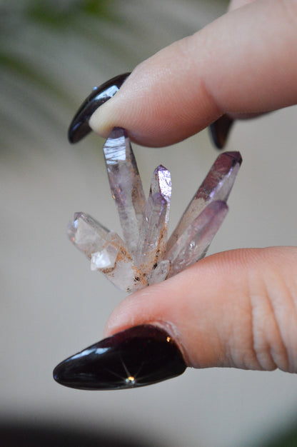 Veracruz Amethyst Starburst Cluster #1