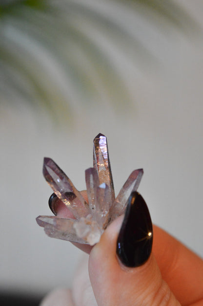 Veracruz Amethyst Starburst Cluster #1