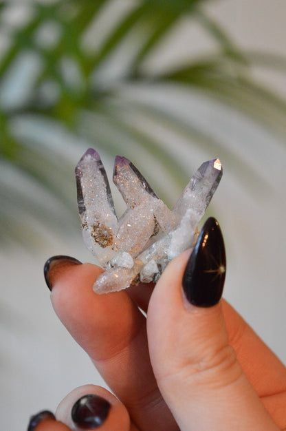 Veracruz Amethyst Starburst Cluster #2