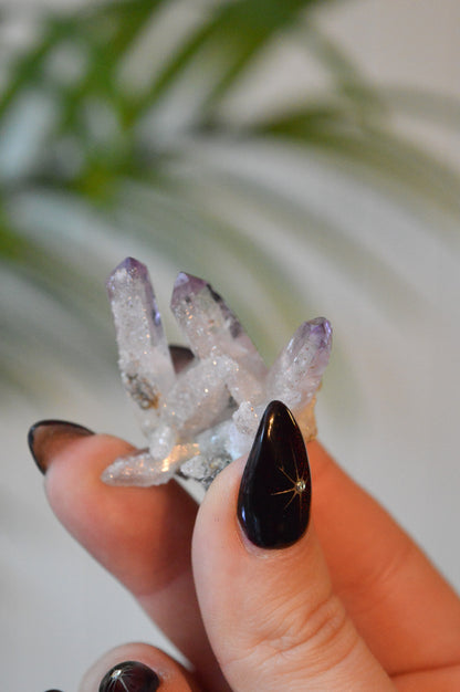 Veracruz Amethyst Starburst Cluster #2