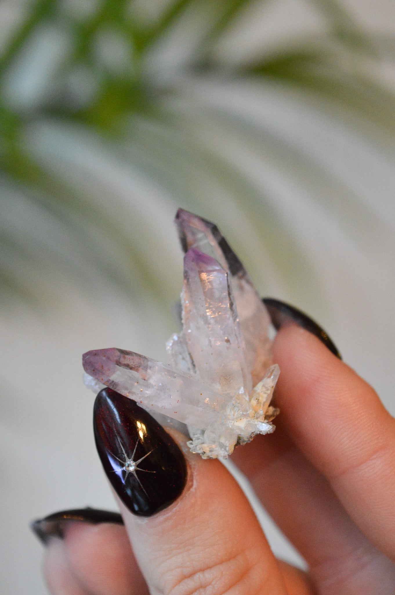 Veracruz Amethyst Starburst Cluster #2