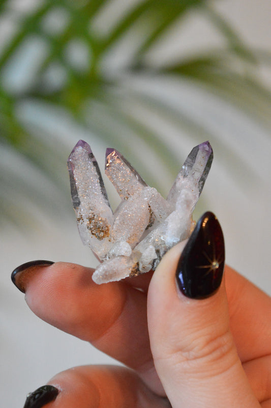 Veracruz Amethyst Starburst Cluster #2