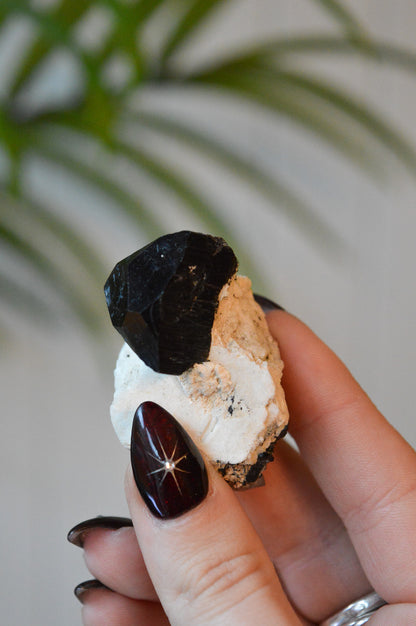 Black Tourmaline Specimen